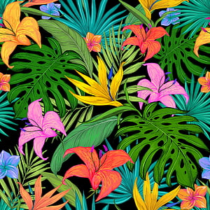 Vibrant tropical floral pattern with lilies, monstera leaves, and bird of paradise on black background HD phone wallpaper