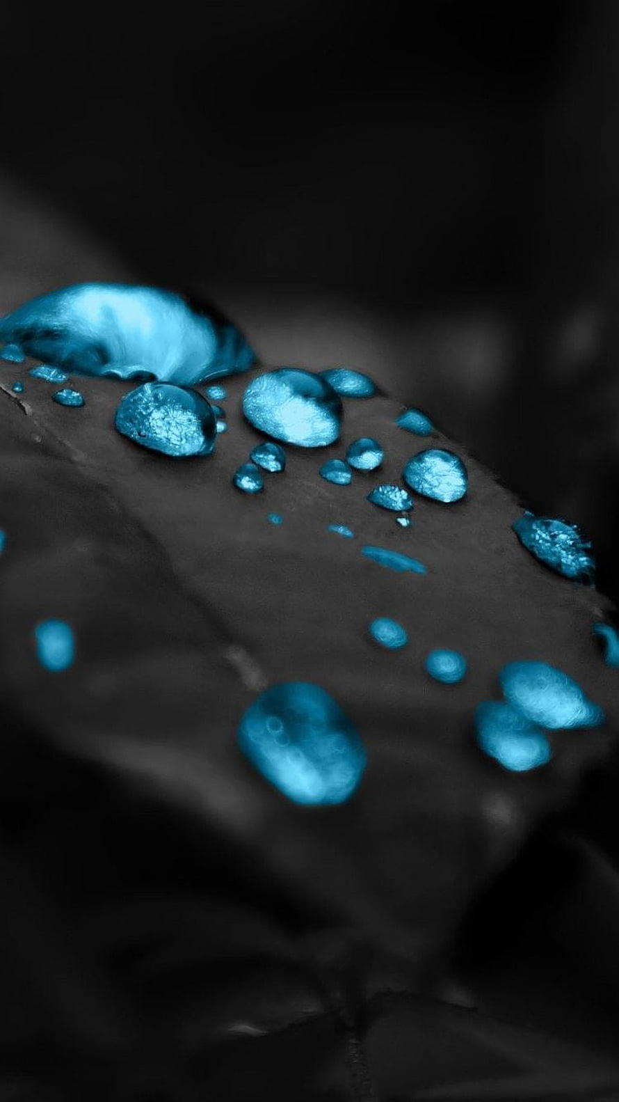 Macro Photography of Glowing Blue Water Droplets on a Dark Leaf Surface HD phone wallpaper