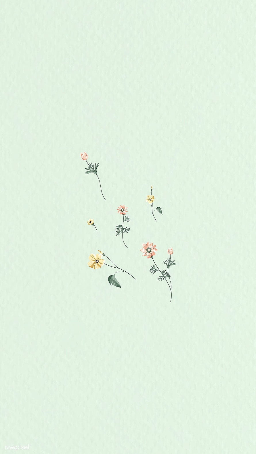 Minimalist Pastel Floral Illustration on Mint Green Textured Background HD phone wallpaper