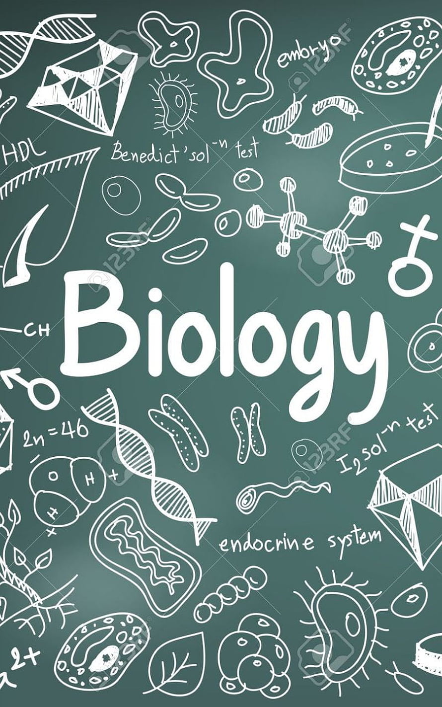 Biology Chalkboard Illustration With DNA Helix, Cells, And Scientific Diagrams HD phone wallpaper