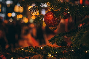 Close-Up of Glittering Red Christmas Ornament on Pine Branch with Bokeh Lights HD wallpaper