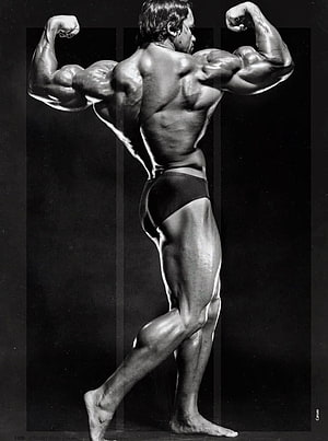 Arnold Schwarzenegger Classic Bodybuilding Pose Black And White Photography HD phone wallpaper