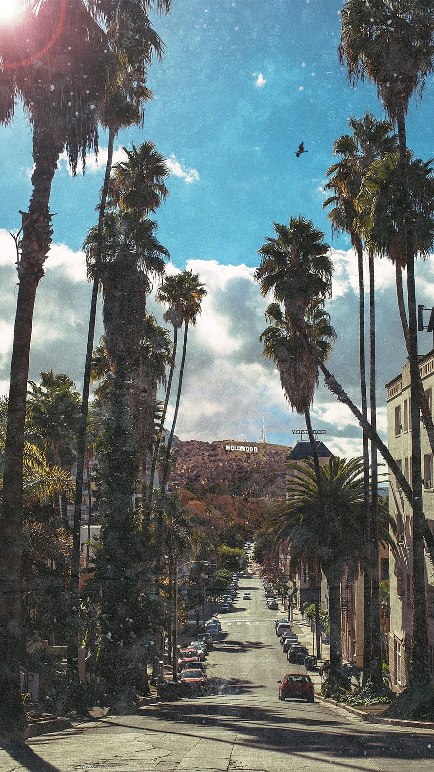 Hollywood Sign View From Palm Tree Lined Street In Los Angeles California HD phone wallpaper
