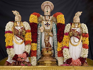 Sri Venkateswara Swamy Deity with Consorts Adorned in Traditional Temple Garlands HD wallpaper