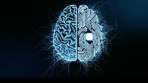 Artificial Intelligence Brain Concept with Circuit Board and Neural Network Design HD wallpaper