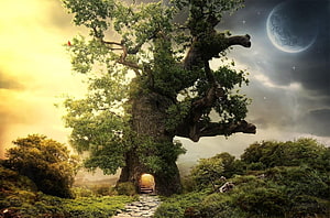 Mystical Ancient Tree House With Glowing Stone Entrance And Distant Planet HD wallpaper