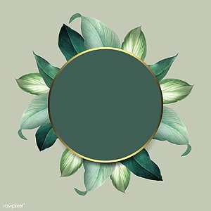 Elegant Botanical Circle Frame with Green Leaves and Gold Rim on Sage Background HD phone wallpaper