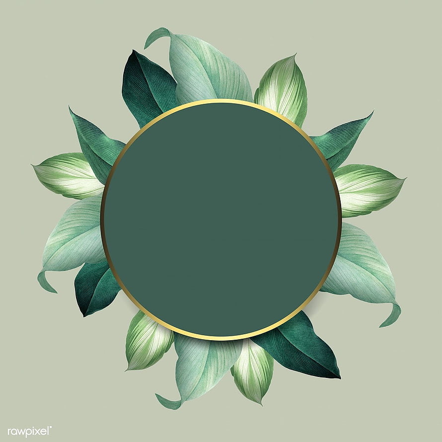 Elegant Botanical Circle Frame with Green Leaves and Gold Rim on Sage Background HD phone wallpaper