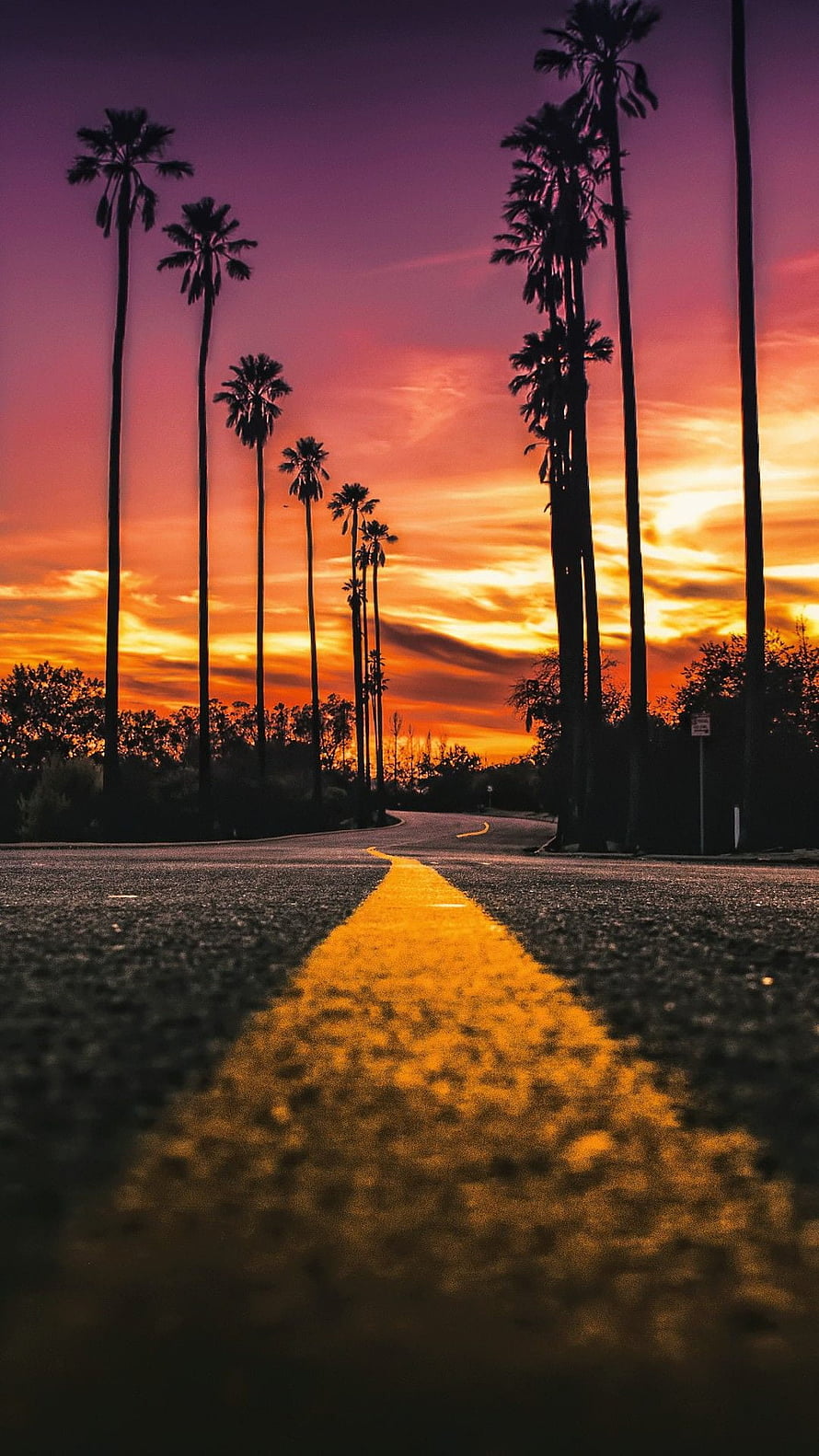 Sunset Road in Los Angeles with Silhouetted Palm Trees and Vibrant Orange Sky HD phone wallpaper