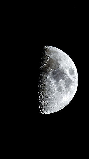 Half Moon Phase Against Deep Black Night Sky with Cratered Surface Detail HD phone wallpaper