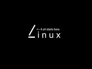Minimalist Linux Terminal Prompt Logo on Black Background HD wallpaper