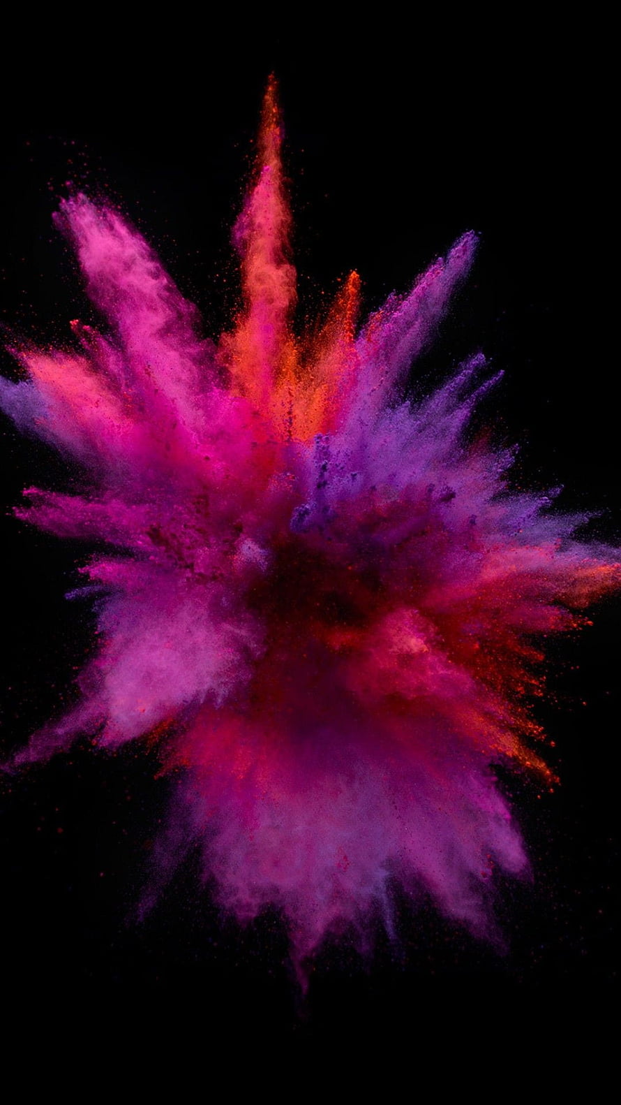 Vibrant Pink and Purple Powder Explosion on Black Background HD phone wallpaper