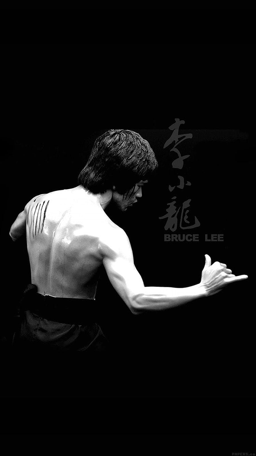 Bruce Lee Black and White Portrait with Back Scars and Martial Arts Pose HD phone wallpaper