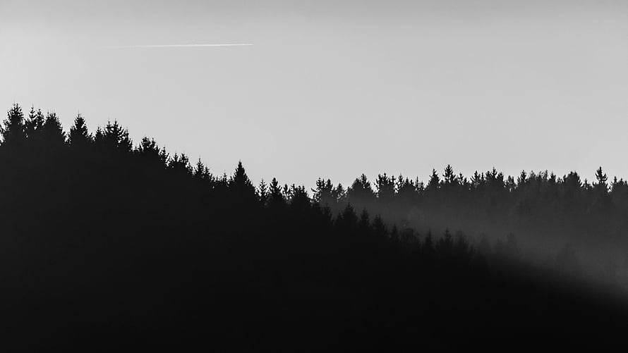 Minimalist Black And White Forest Silhouette With Fog And Contrails HD wallpaper