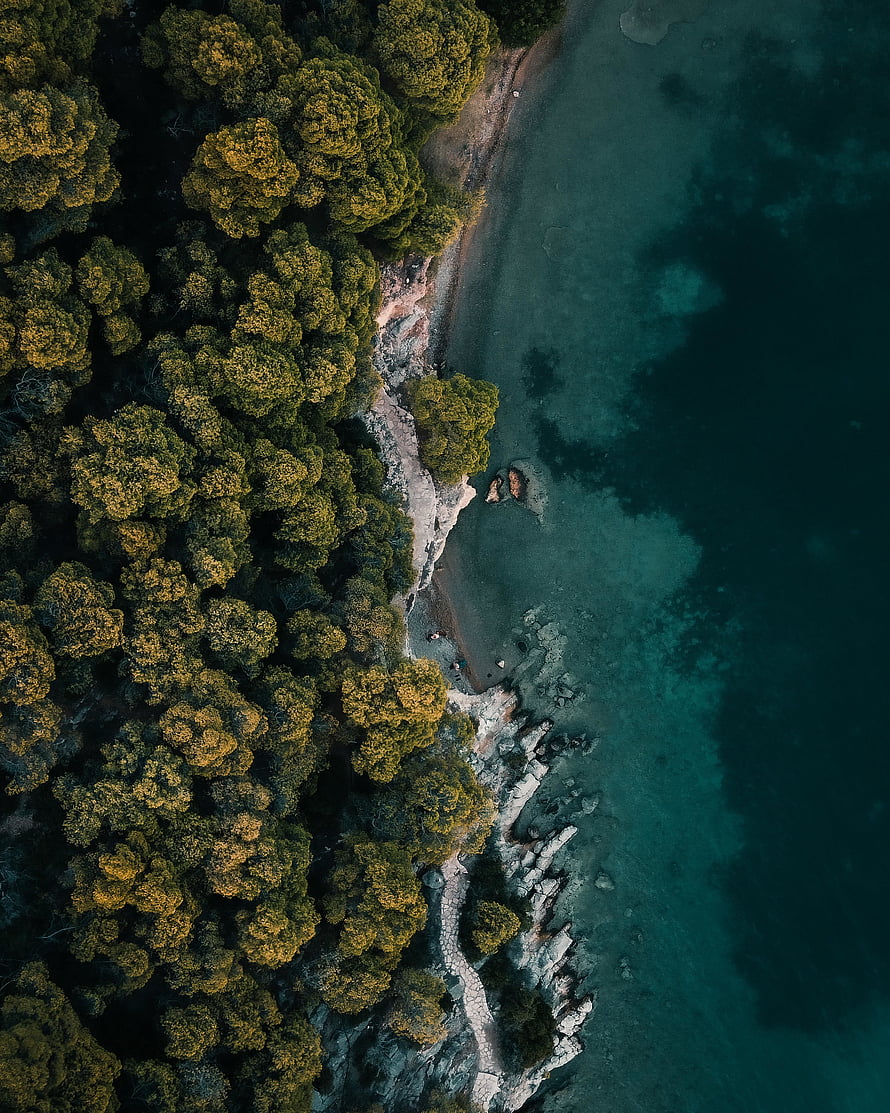 Aerial View of Lush Forest Canopy Meeting Turquoise Coastal Waters and Rocky Shoreline HD phone wallpaper