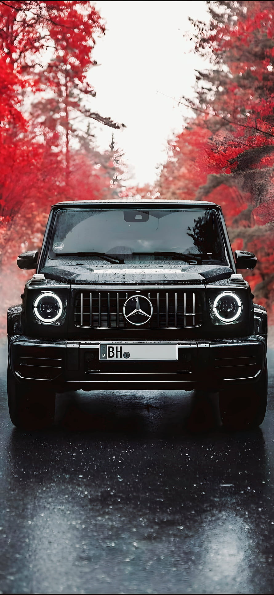 Black Mercedes-Benz G-Class SUV on a Wet Road with Red Autumn Trees HD phone wallpaper