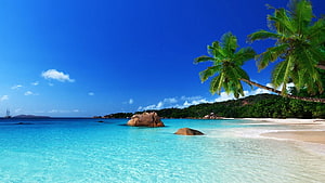 Tropical Island Beach with Turquoise Water, White Sand, and Palm Trees Under a Clear Blue Sky HD wallpaper
