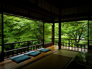 Traditional Japanese Tea Room Interior With Tatami Mats And Lush Forest View HD wallpaper