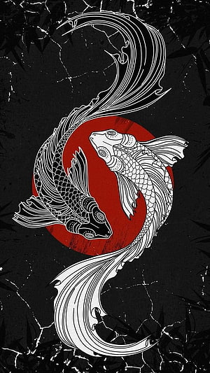 Black and White Koi Fish Yin Yang Design with Red Circle Background HD phone wallpaper