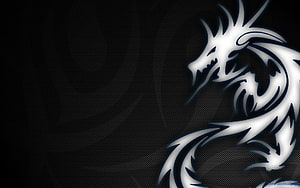 Silver Tribal Dragon Head on Dark Carbon Fiber Background HD wallpaper