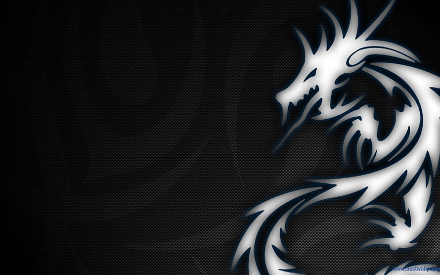 Silver Tribal Dragon Head on Dark Carbon Fiber Background HD wallpaper