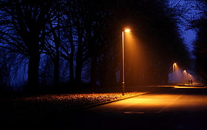 Atmospheric Night Street Scene With Glowing Orange Streetlights And Dark Trees HD wallpaper