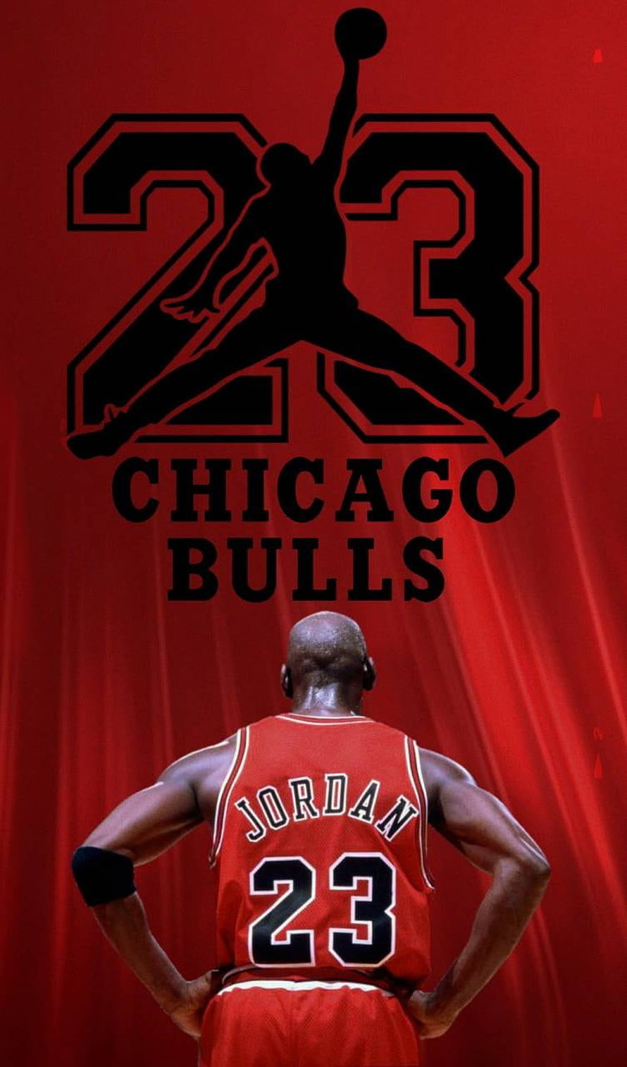Michael Jordan Chicago Bulls 23 Red Jersey Back View with Jumpman Logo, Michael Jordan 23, Michael Jordan Chicago Bulls HD phone wallpaper