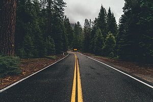 Winding asphalt road through a dense pine forest on a cloudy day HD wallpaper