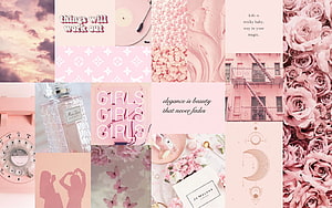 Pink Aesthetic Mood Board Collage With Roses Perfume And Inspirational Quotes HD wallpaper