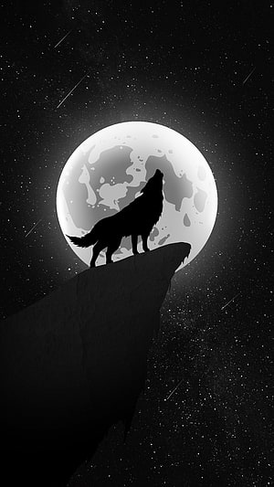 Silhouette of a wolf howling at a full moon on a cliff edge against a starry night sky HD phone wallpaper