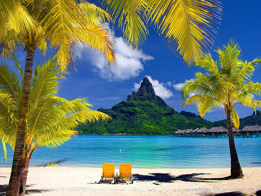 Tropical Island Beach with Palm Trees, Turquoise Water, and Overwater Bungalows HD wallpaper