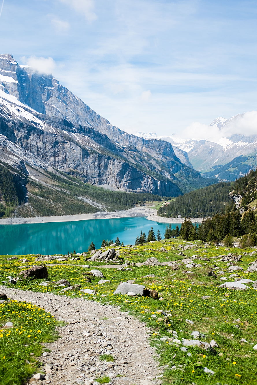 Turquoise Alpine Lake Surrounded by Snow-Capped Peaks and Wildflower Meadows HD phone wallpaper