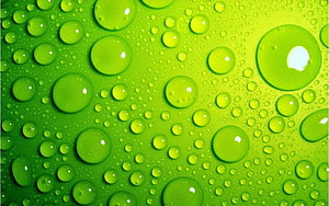 Vibrant Green Macro Photography of Water Droplets on a Leaf Surface HD wallpaper