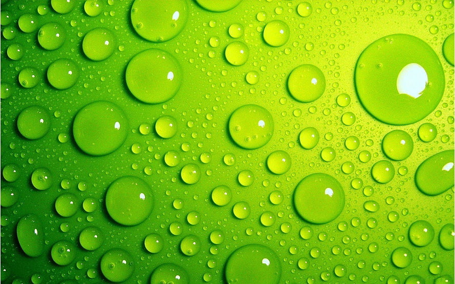 Vibrant Green Macro Photography of Water Droplets on a Leaf Surface HD wallpaper