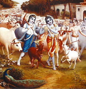 Krishna Playing Flute with Cows and Gopis in Traditional Indian Painting HD phone wallpaper