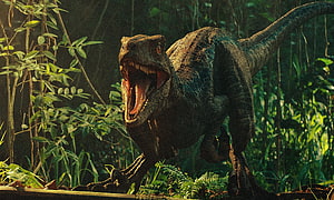 Tyrannosaurus Rex Roaring in Dense Jungle Foliage from Jurassic World Fallen Kingdom HD wallpaper