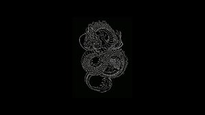 Intricate White Line Art of a Coiled Japanese Dragon on a Black Background HD wallpaper