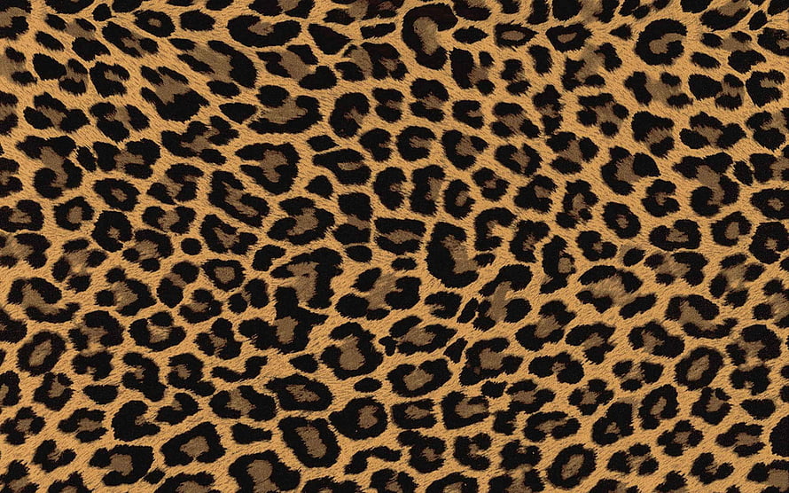 Classic Leopard Print Animal Pattern Texture with Black Spots on Tan Background HD wallpaper