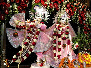 Krishna and Radha Temple Murti Adorned in Pink Garments and Floral Garlands HD wallpaper