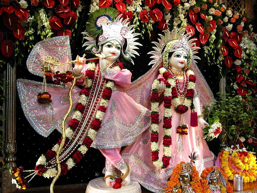 Krishna and Radha Temple Murti Adorned in Pink Garments and Floral Garlands HD wallpaper