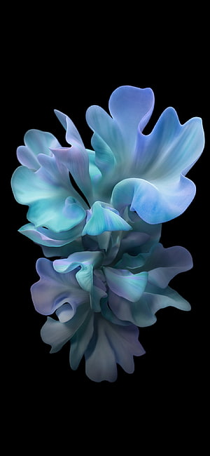 Abstract Blue and Purple Floral Art on Black Background HD phone wallpaper
