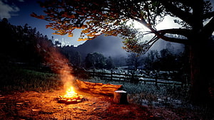 Red Dead Redemption 2 Campfire Scene With Misty Mountain Valley And Autumn Tree Canopy HD wallpaper