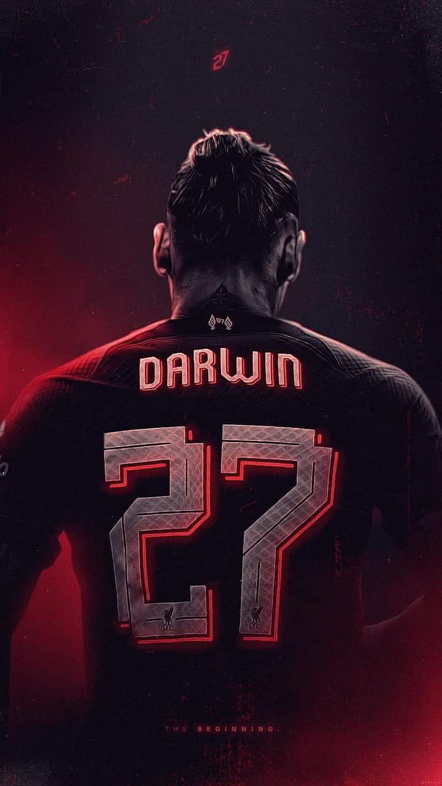 Darwin Nunez Liverpool FC 27 Jersey Back View Wallpaper HD phone wallpaper