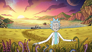 Rick Sanchez Standing in Alien Wheat Field with Spaceship and Sunset Sky HD wallpaper