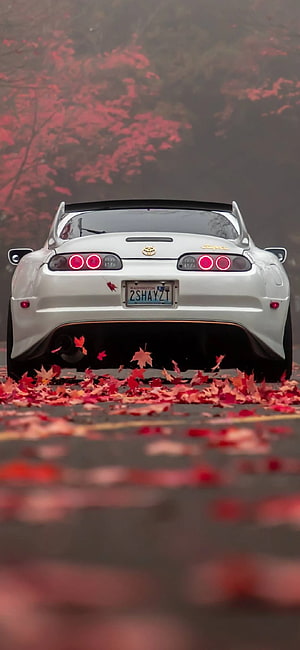 White Toyota Supra Rear View on Autumn Road with Red Leaves HD phone wallpaper