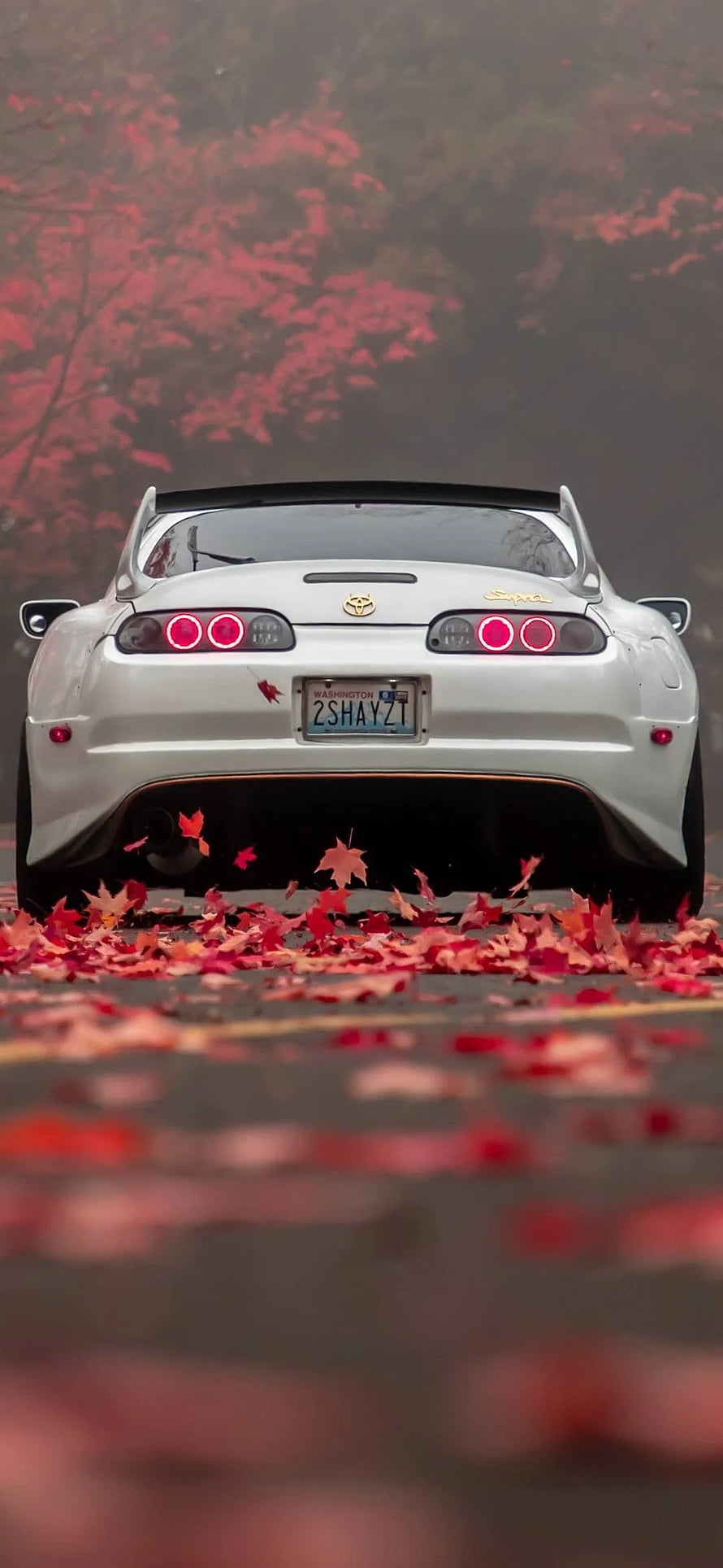 White Toyota Supra Rear View on Autumn Road with Red Leaves HD phone wallpaper