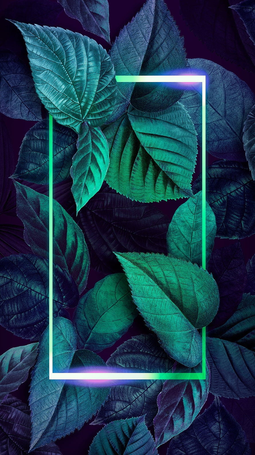 Neon Green and Purple Leaf Pattern with Glowing Rectangular Frame HD phone wallpaper