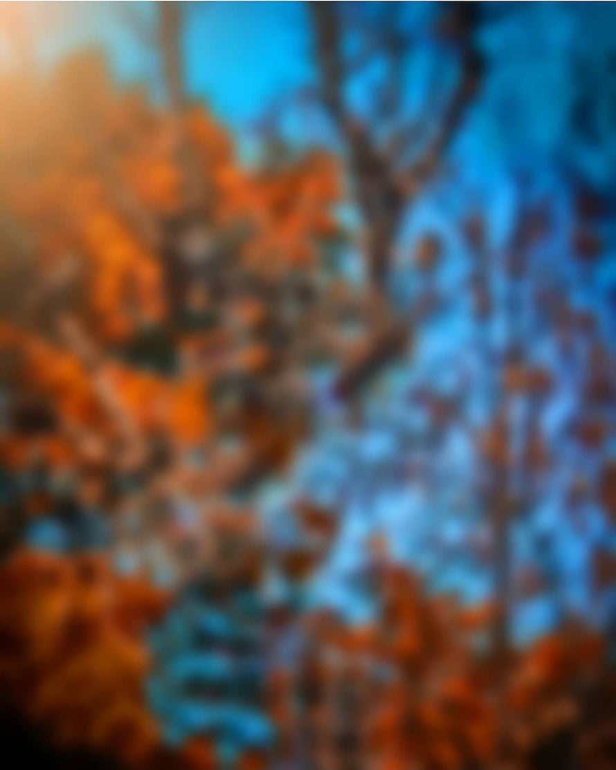 Blurred Autumn Forest with Vibrant Orange Foliage and Blue Sky HD phone wallpaper