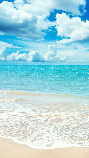 Goa Beach Summer Scene With Turquoise Water And Fluffy Clouds HD phone wallpaper