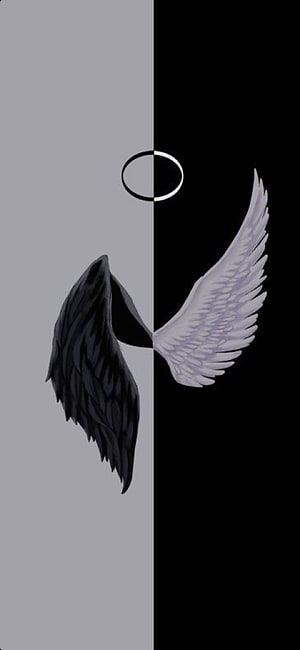 Black and White Angel Wings Duality Art with Halo HD phone wallpaper